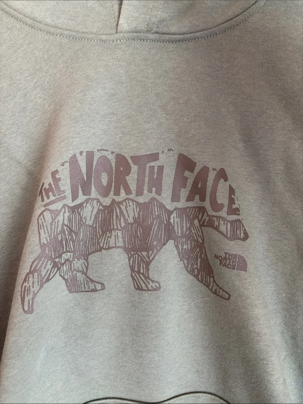 The North Face Mens Evolution TNF™ Bear Hoodie Graphic Sage Green Largr NWT soft